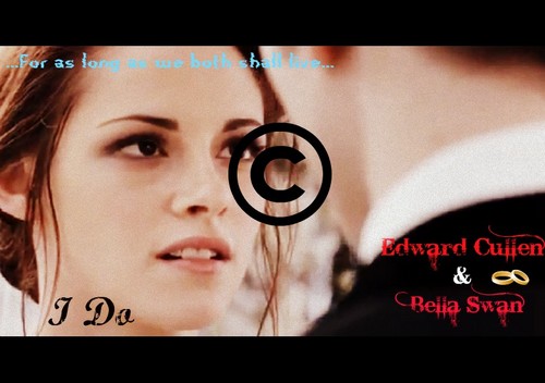  Bella and Edward vows