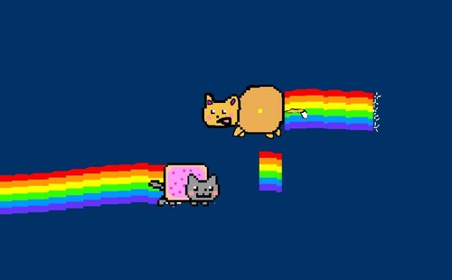Nyan cat and Nyan dog