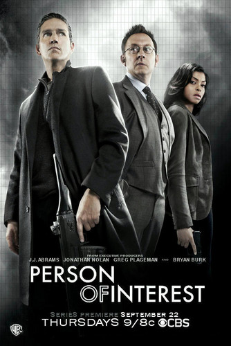  Person of Interest Poster