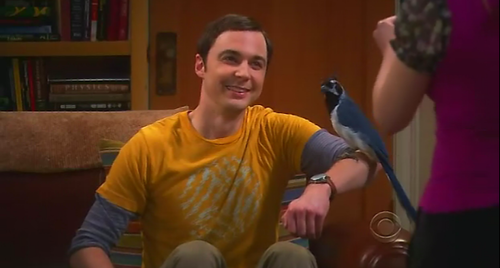  Sheldon and the "Lovey Dovey"
