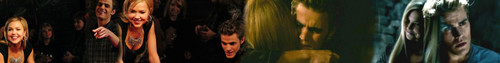  Stefan and Lexi banner