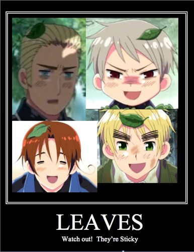  leaves