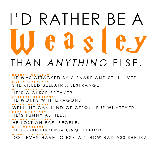  I'd Rather be a Weasley