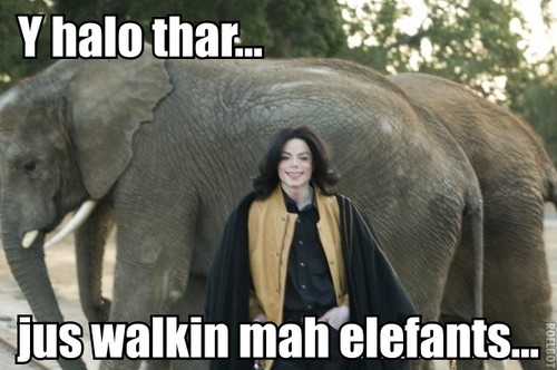  Michael walking his elephants!