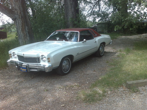  My old 1974 Chevy Monte Carlo