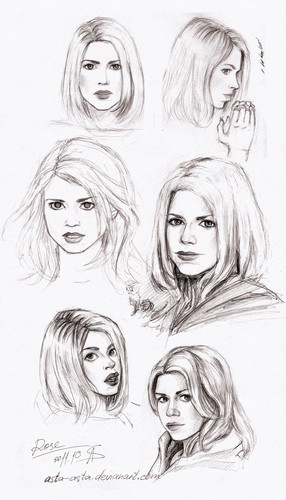  Rose Sketches