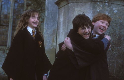  harry, ron and hermione