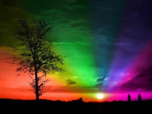  虹 background