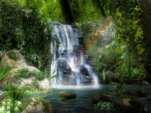  waterfall 무지개, 레인 보우 forest