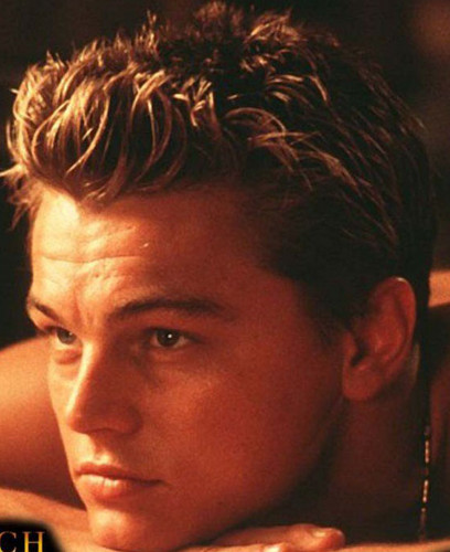 Leonardo DiCaprio images 美 Leo D.C. wallpaper and background photos ...