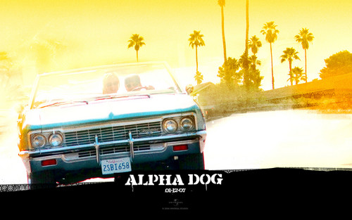  Alpha Dog