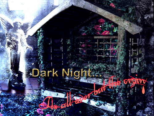  Dark Night my 1st story hình nền http://www.fanpop.com/spots/vampires/articles/135800