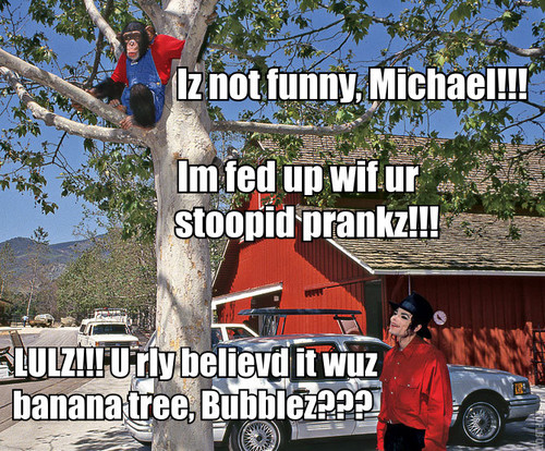  Michael told Bubbles it's a 香蕉 tree!