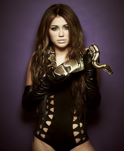  Miley Cyrus-Can't Be Tamed 照片 Shoot