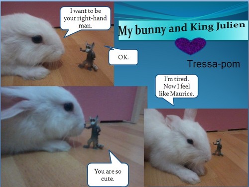My bunny and King Julien