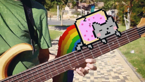 Nyan cat sleeps on a bass, besi