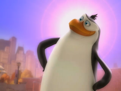  Rico: The Crazy pinguin, penguin
