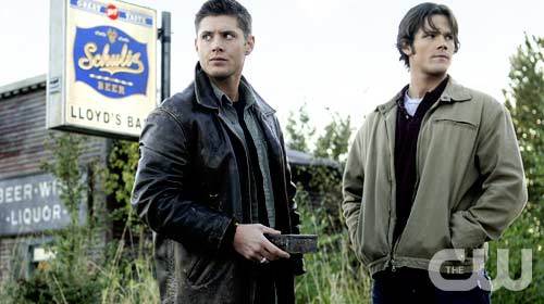 Sam and Dean Winchester (Supernatural)