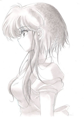  Akane's Hair