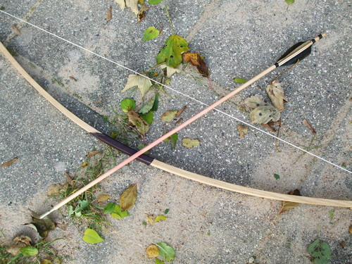  My bow & arrow