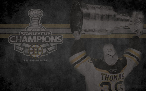  Stanley Cup Champions: Tim Thomas