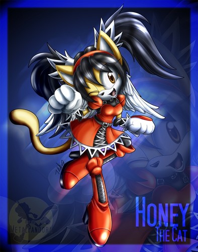 Sexy Honey The Cat
