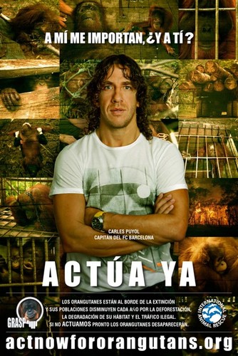  "Act Now for Orangutans" - Spanish