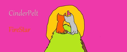  Firestar and Cinderpelt at the sunset