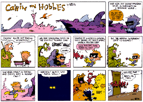  Calvin & Hobbes Comic Strips