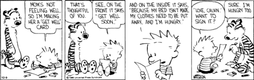  Calvin & Hobbes Comic Strips