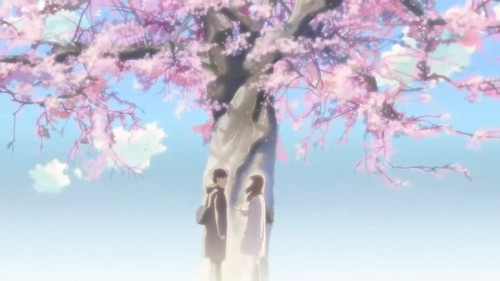  ceri, cherry Blossom Anime Pics