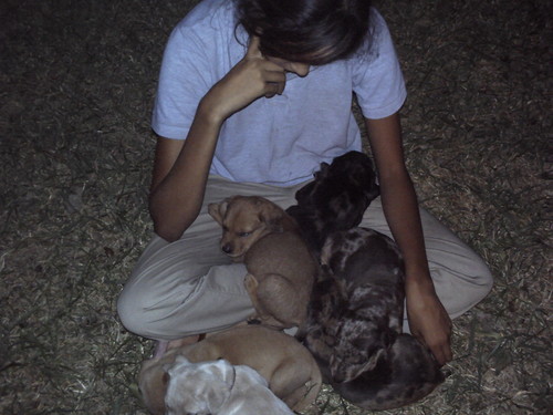  Me with my 6 pups my dog had