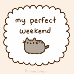  Pusheen's Perfect Weekend