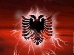  알바니아 flag