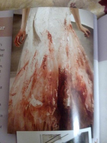  Bella's Bloody wedding dress