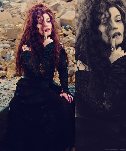  Bellatrix ☺