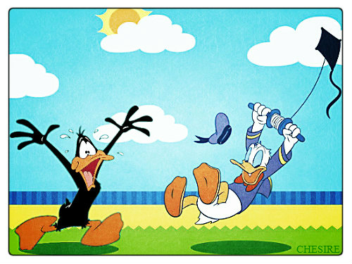  Daffy and Donald アヒル, 鴨