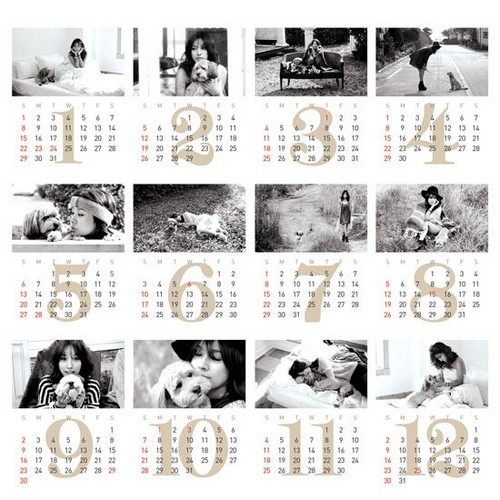  Lee Hyori ‘Eco Project’ 2012 calendar with her dog Soonshim