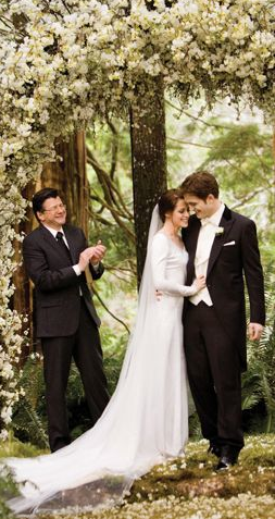  New pics/scans from the "Breaking Dawn - Part 1" illustrated movie companion