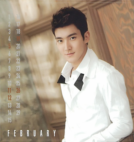  Super Junior 2012 일본 Calendar