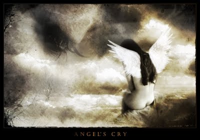  Angel tears