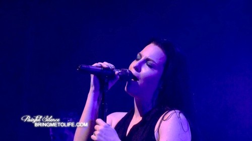  Evanescence 2011 Live