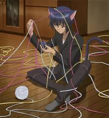  Ikuto playing with yarn!