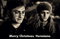  Merry Christmas, Harry and Hermione