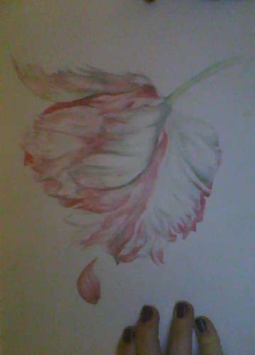  My fan Art - fleur