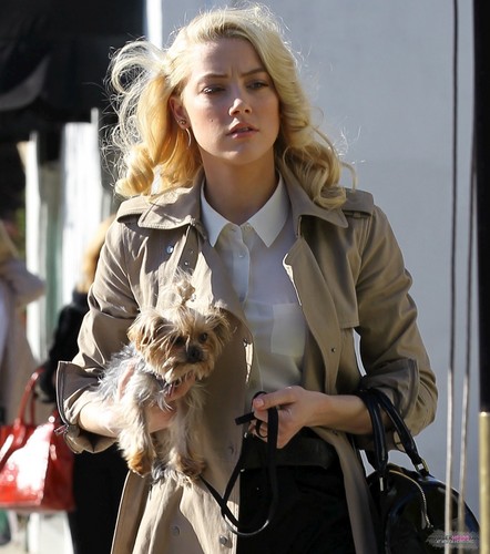  WALKING IN BEVERLY HILLS (DECEMBER 16TH)