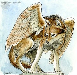  Winged serigala, wolf