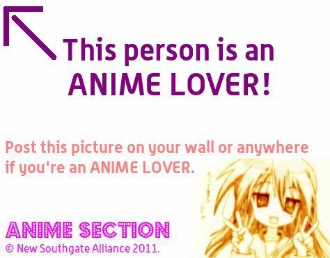  anime lover