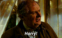  "Harry?" "Sir!"
