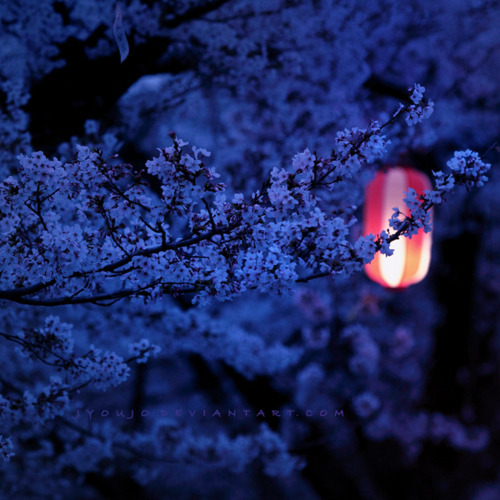  Blossom arbre Lamp Light